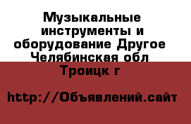 Музыкальные инструменты и оборудование Другое. Челябинская обл.,Троицк г.